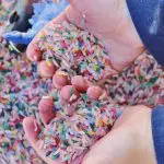 Child's hand playing in multicoloured rice during an occupational therapy in Toronto session
